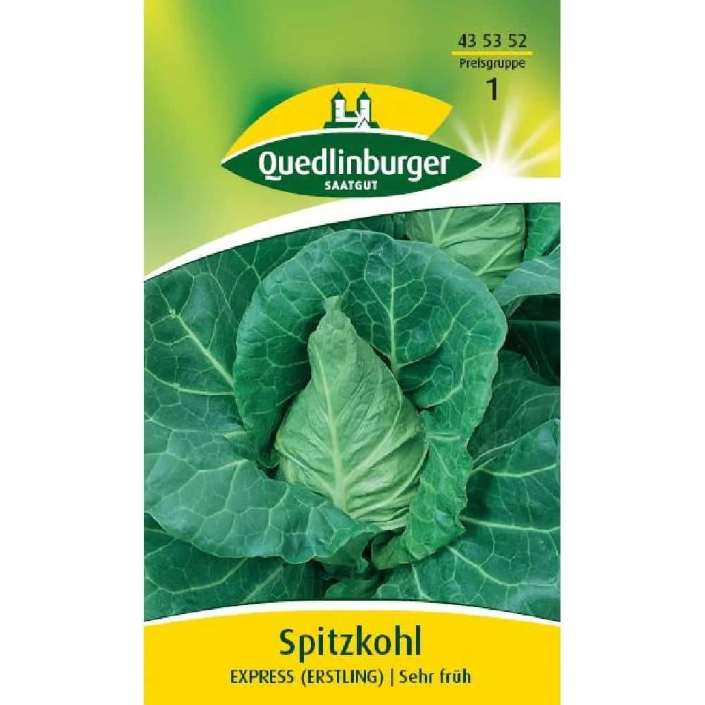 "Pointed cabbage, Express (Firstling) image"