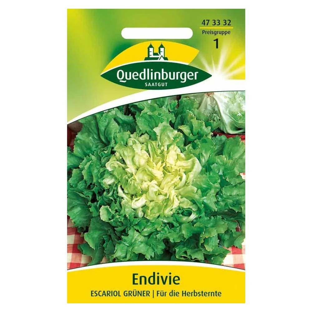 "Escarole 'Grüner' Endive Seeds image"