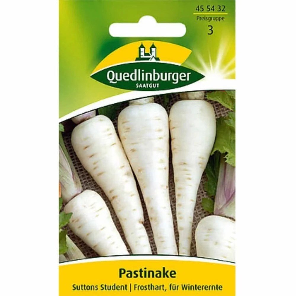 Suttens Student Parsnip Seeds - Heirloom Variety