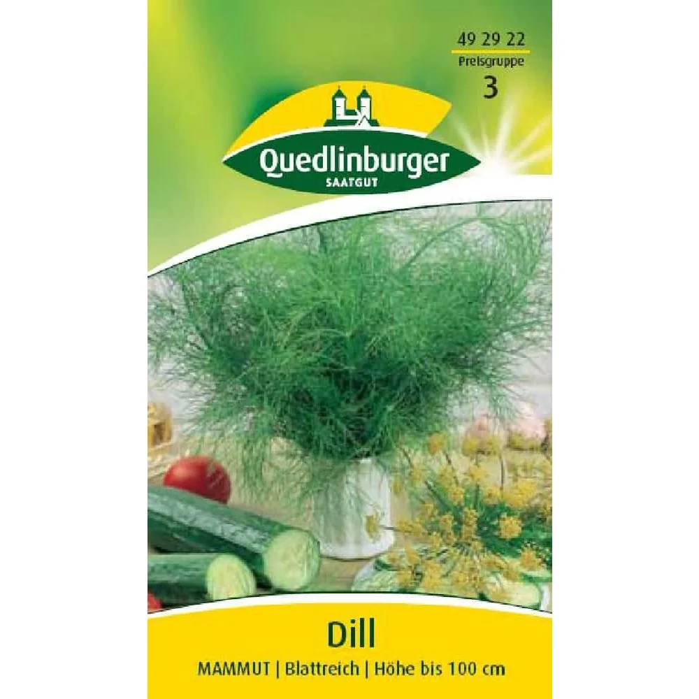 "Buy Dill Seeds Online | Grow Fresh, Aromatic Leaf Dill image"