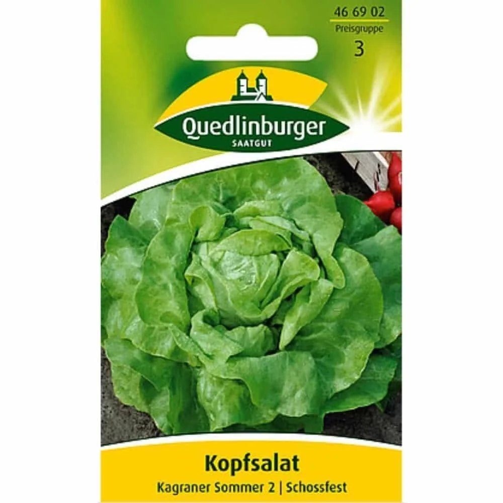 Kagraner Sommer Lettuce Seeds - Early Harvest Butterhead