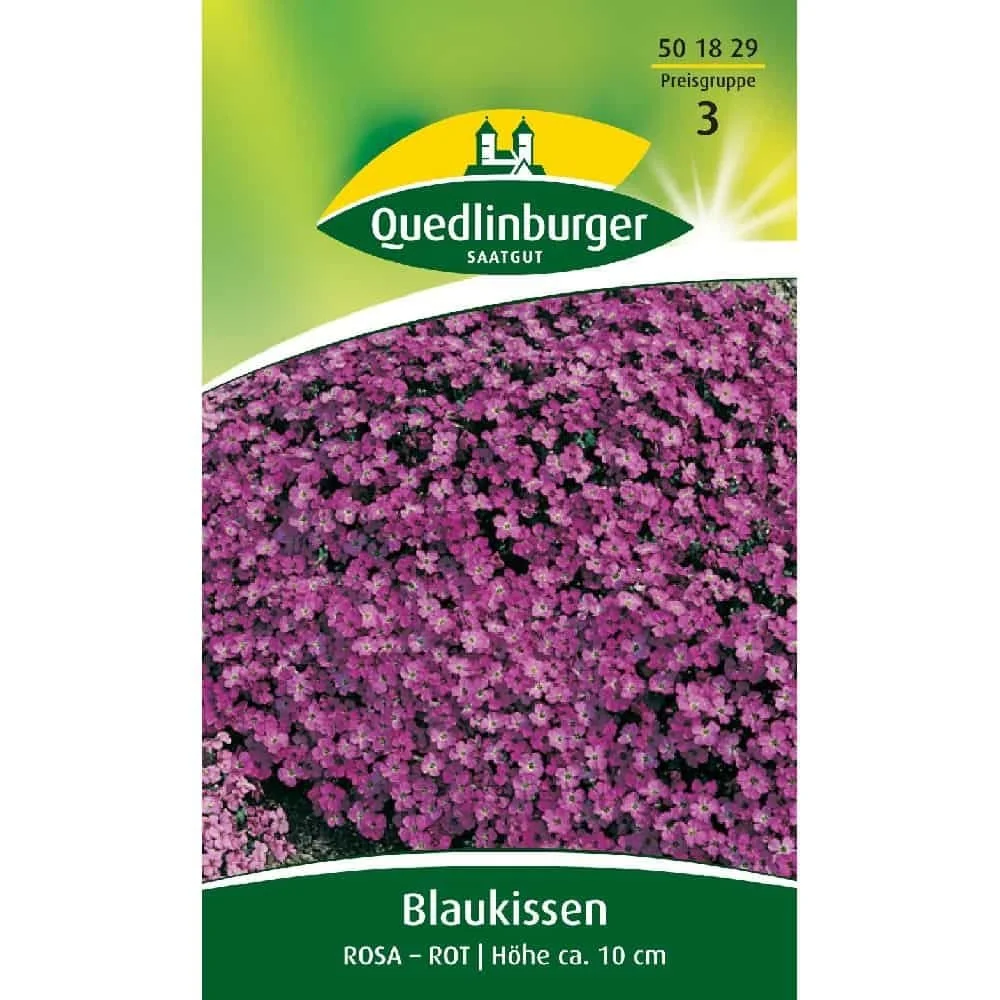 "Rock Cress, Pink-Red image"