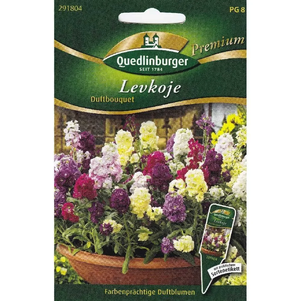 "Fragrant Stock Flower Seeds - Levkojen Duftbouquet image"