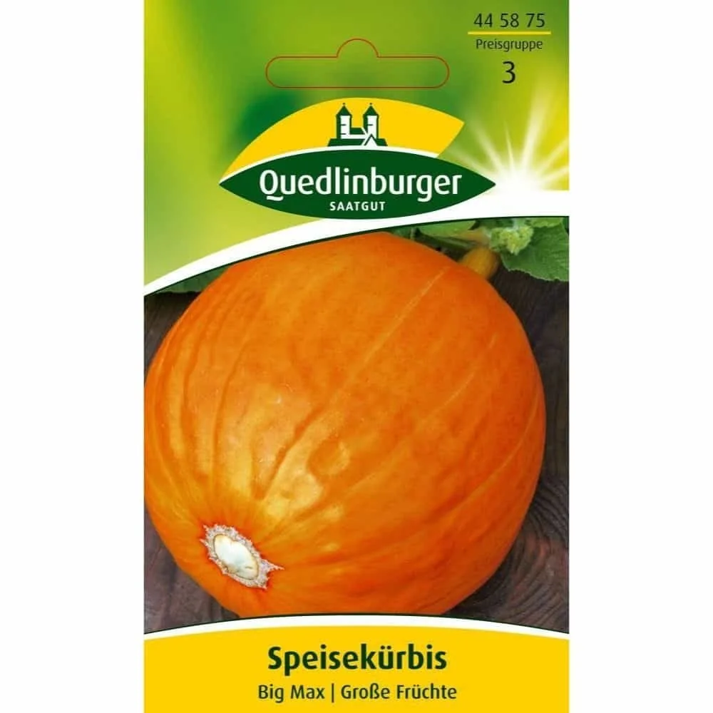 Big Max Edible Pumpkin Seeds - Grow Giant Pumpkins