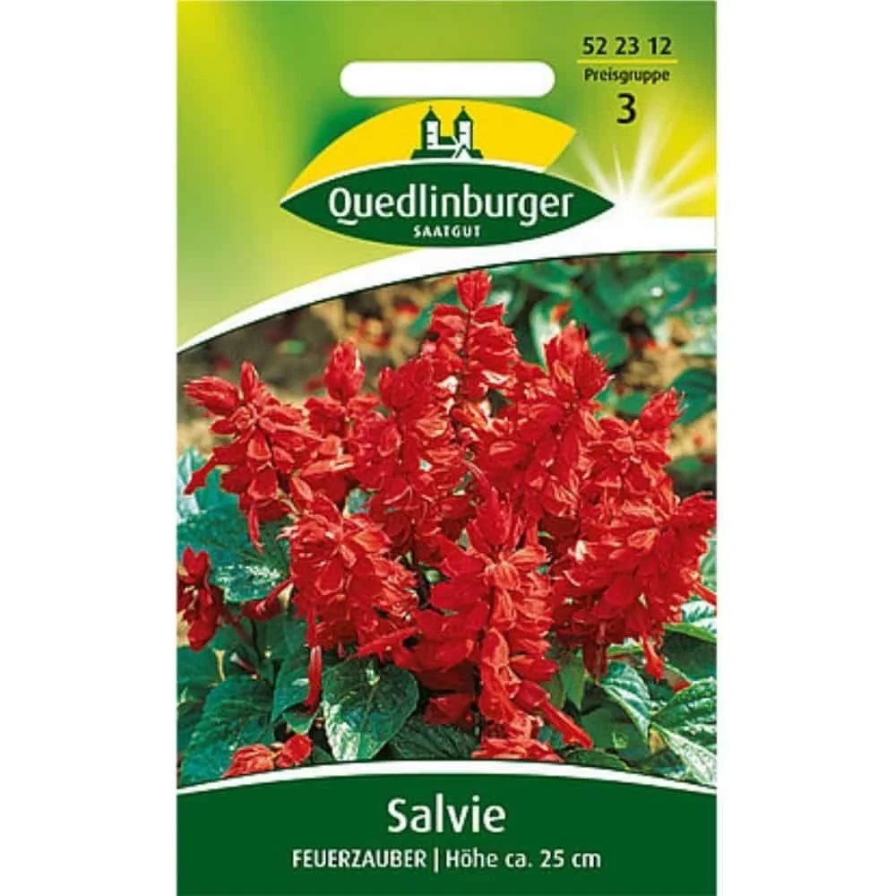 Scarlet Sage 'Fire Magic' - Annual Sage for Vibrant Gardens