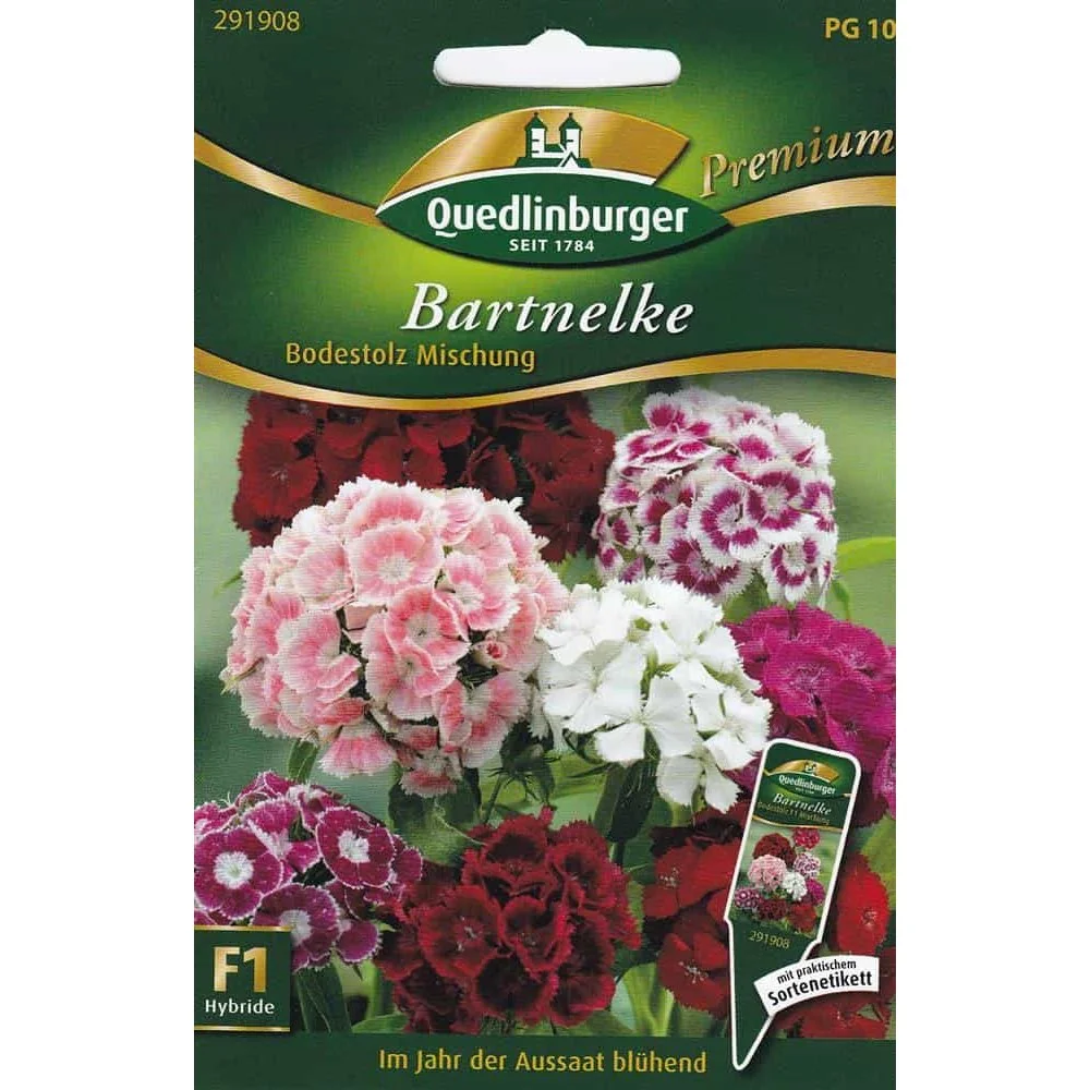 "Sweet William Seeds Bodestolz Mix F1 - Flower Seeds Online image"