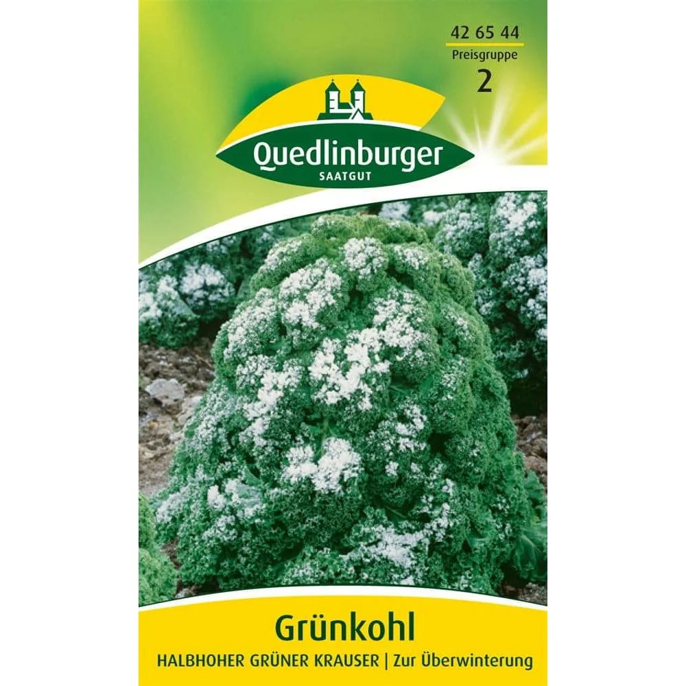 Dwarf Green Curled Kale Seeds for Winter Gardens