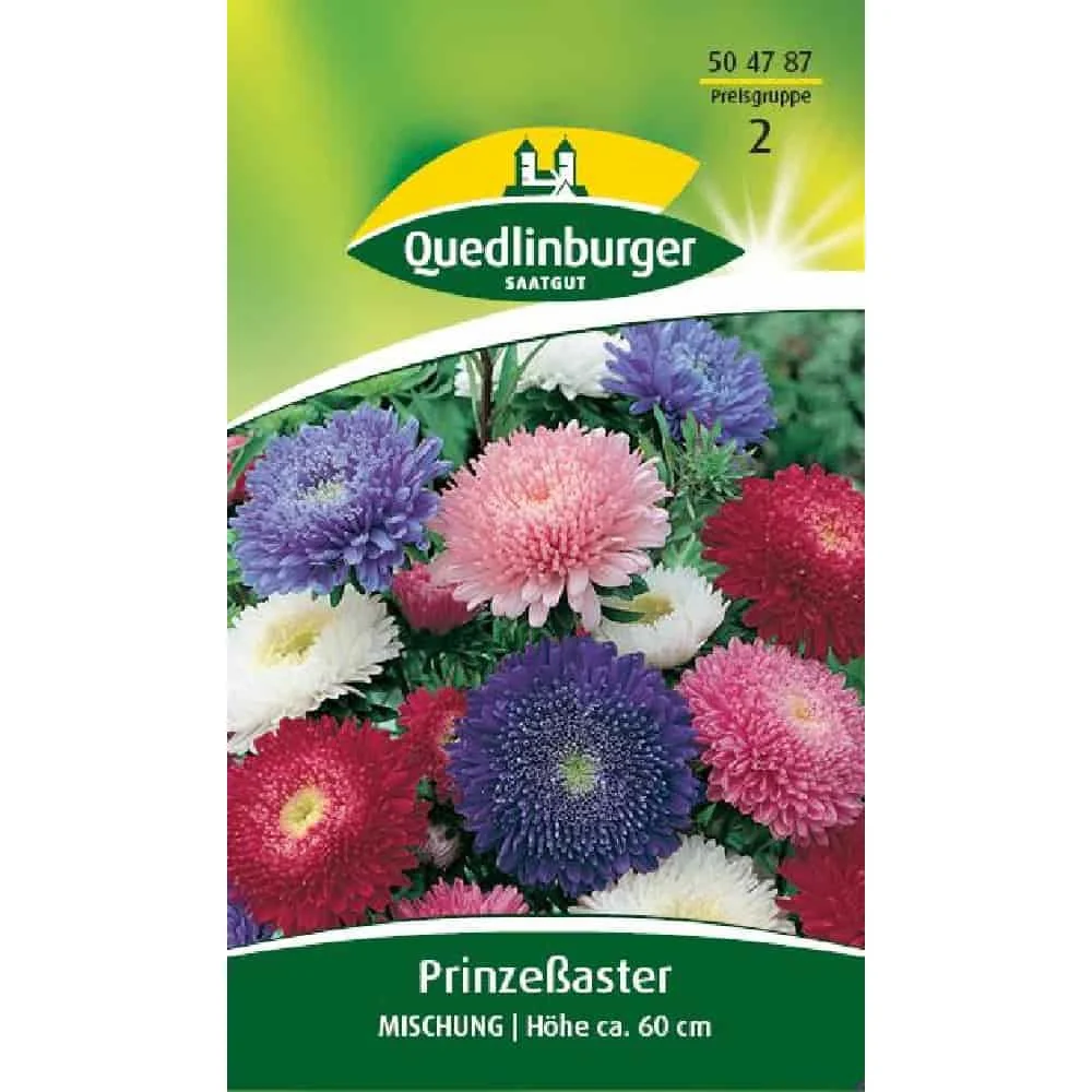 "Colorful Aster Seeds Mix | Summer Flower Seeds for Garden image"