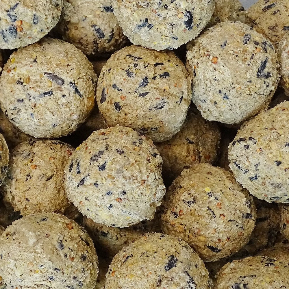 Bird food, suet for birds 200 x 90g, fat balls for birds, wild bird food, bird seed