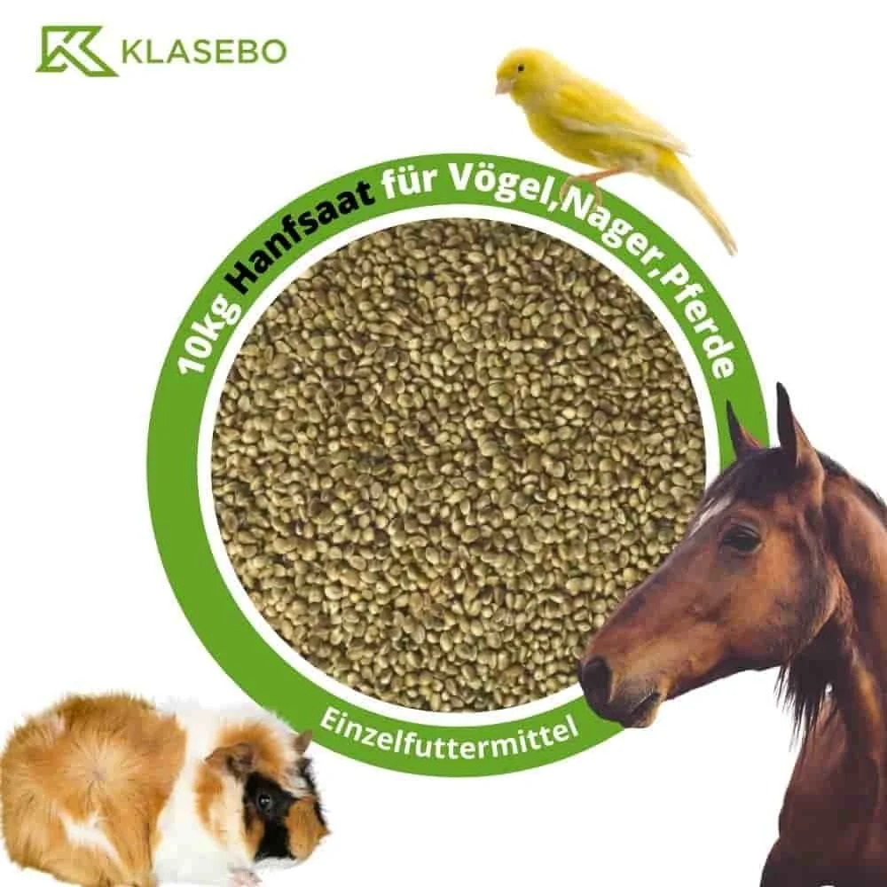 "Hemp Seeds 10kg, Bird Seed, Horse Feed, Rodent Feed, Animal Feed image"