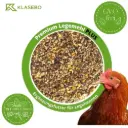 Chicken Feed 25 kg, Laying Hen Feed, Poultry Feed for Chickens, Ducks, Geese with Oregano