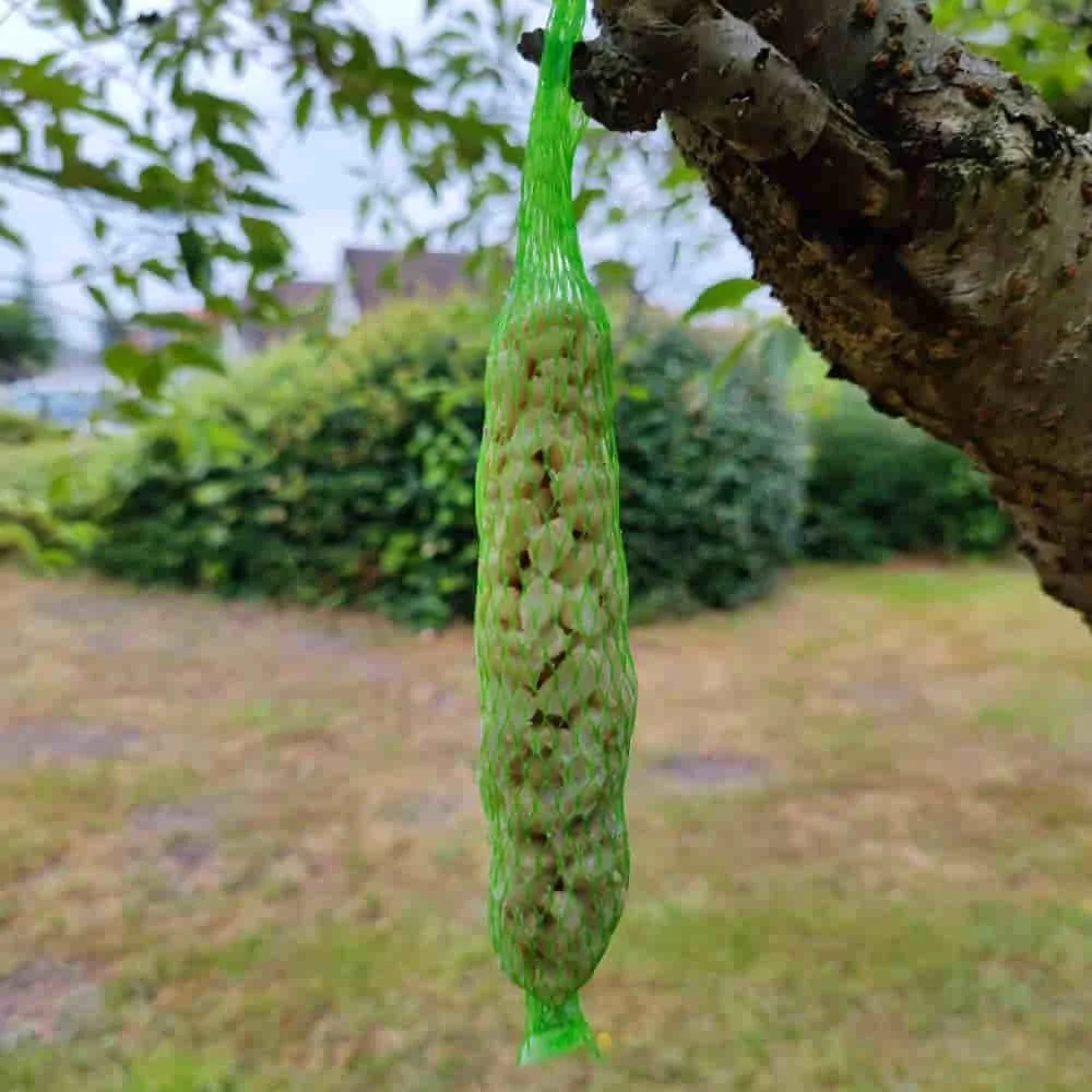 "Wild Bird Food Peanut Sticks - 2 Pack image"