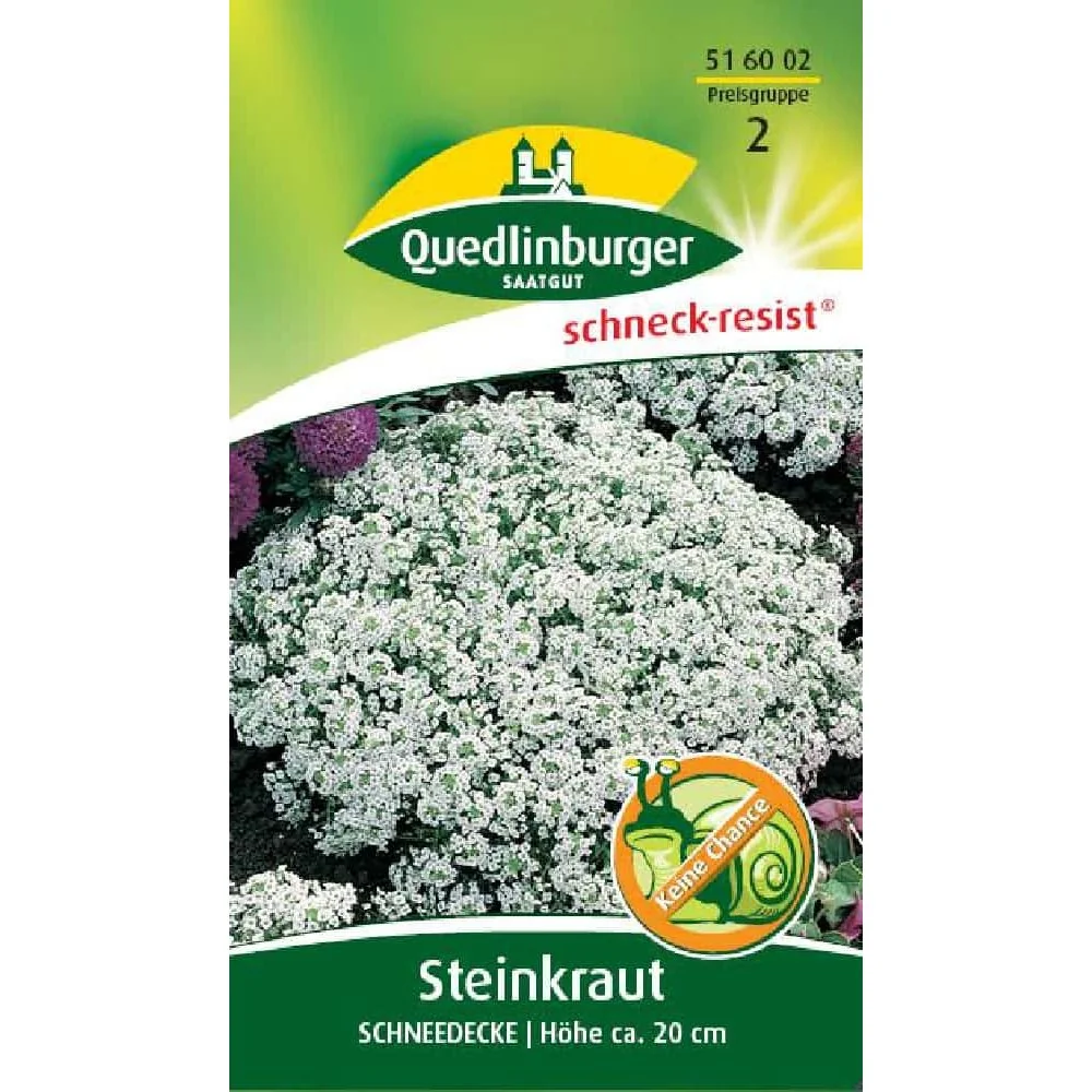 "Snow Cress: Fragrant, Bee-Friendly Ground Cover for Your Garden image"