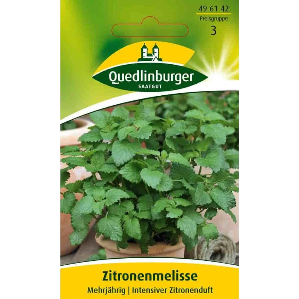 "Lemon Balm Plant, Lemon Balm Tea, Buy Lemon Balm image"