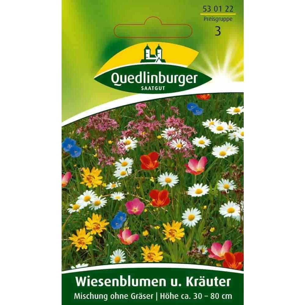 "Wildflower Seeds, Herb Seeds, Meadow Flower Mix image"