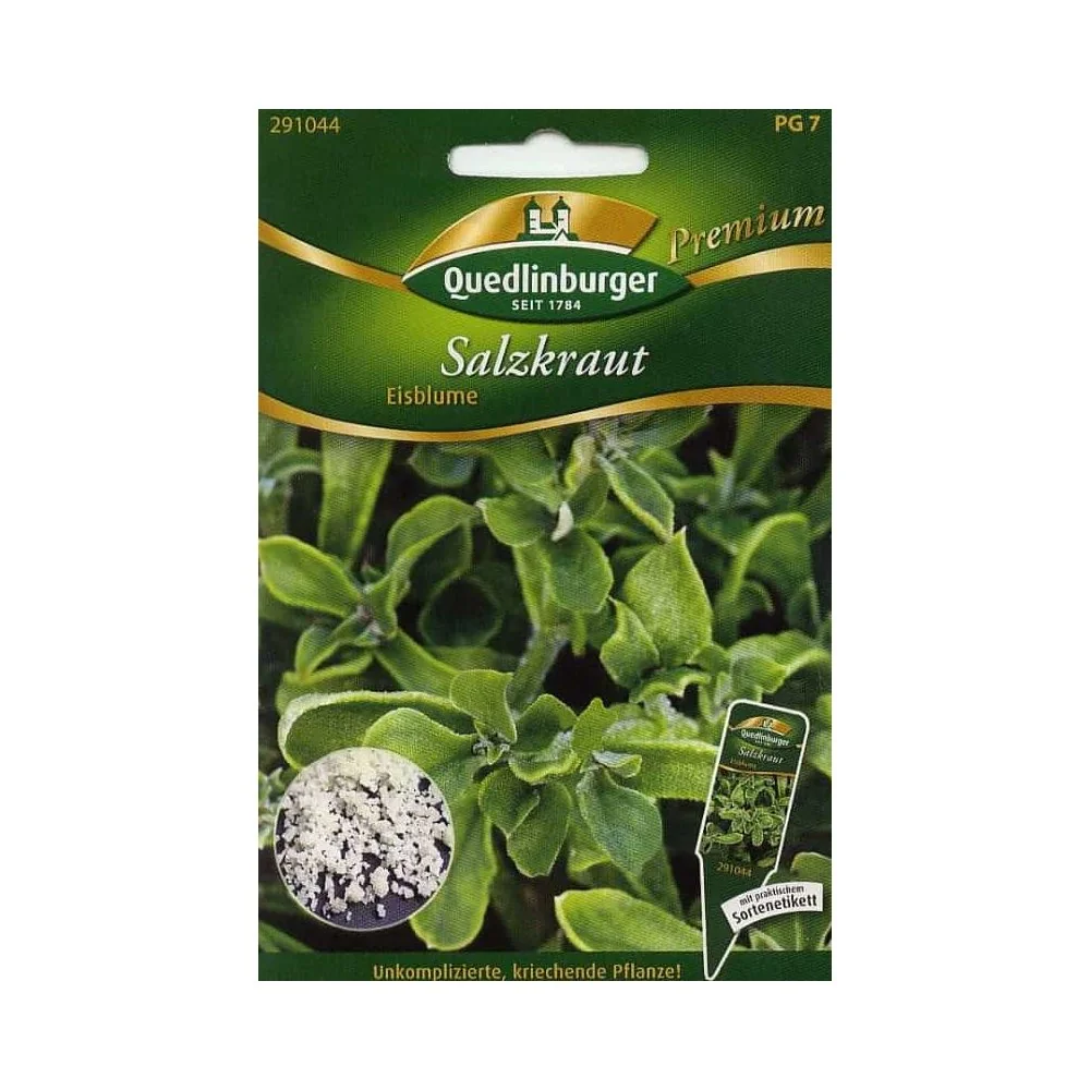 "Buy Salzkraut Seeds: The Edible Ice Plant for Your Garden image"