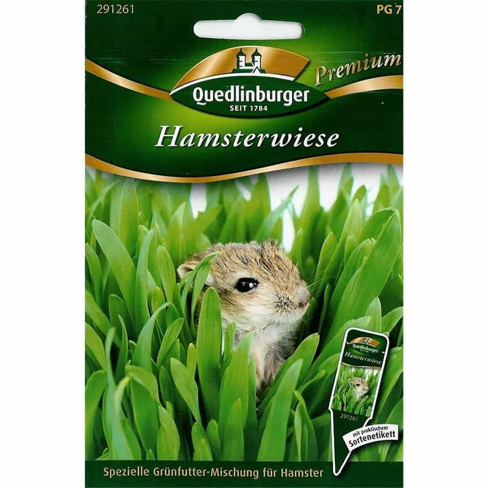 "Hamster Grass Garden Kit - Grow Fresh Food for Your Pet image"
