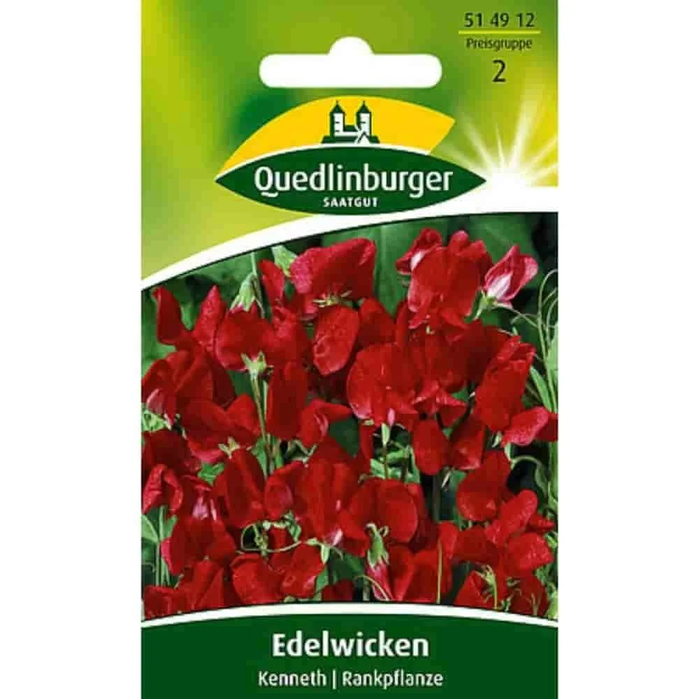 "Sweet Pea Seeds for a Fragrant Garden image"