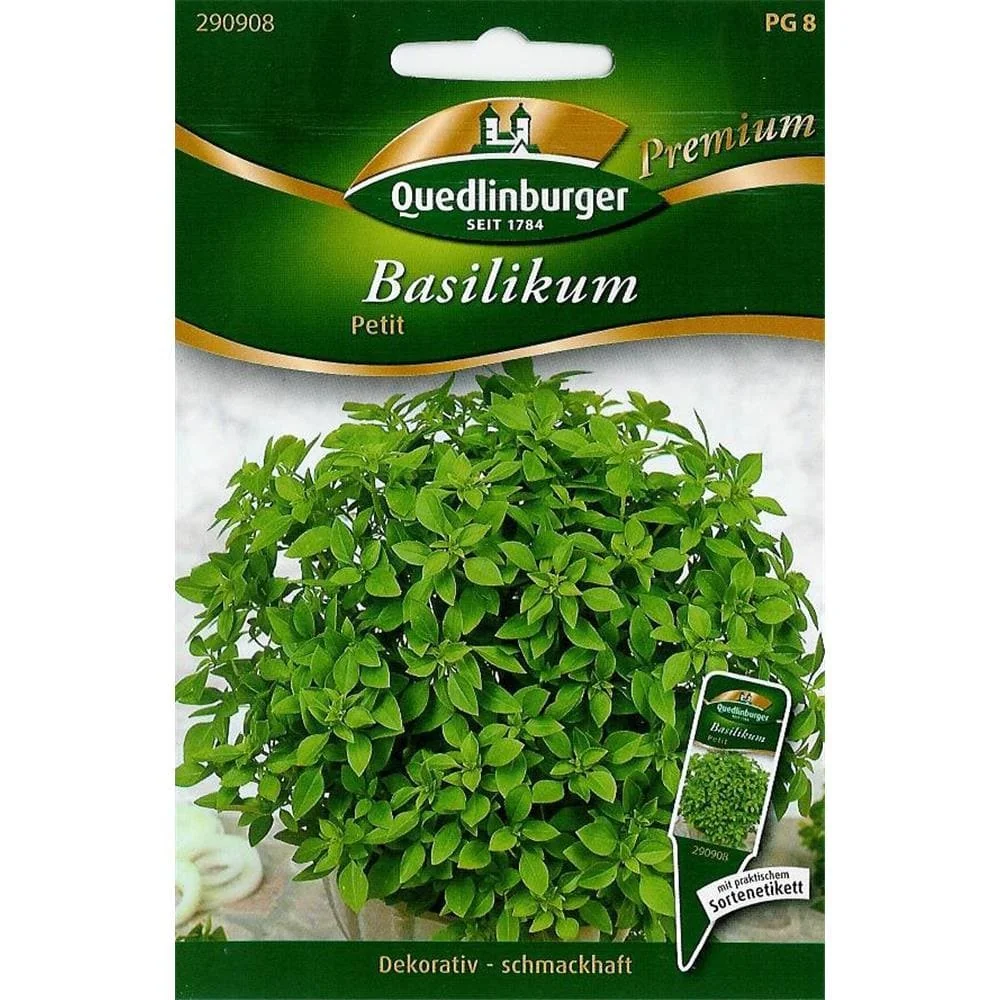 Petit Basil Plant - Aromatic Herb for Your Garden