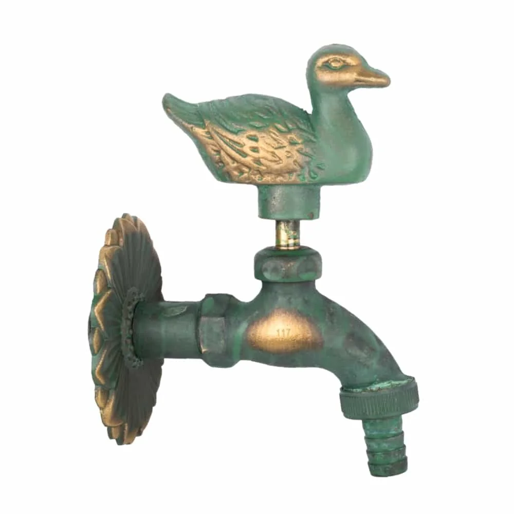 Duck
