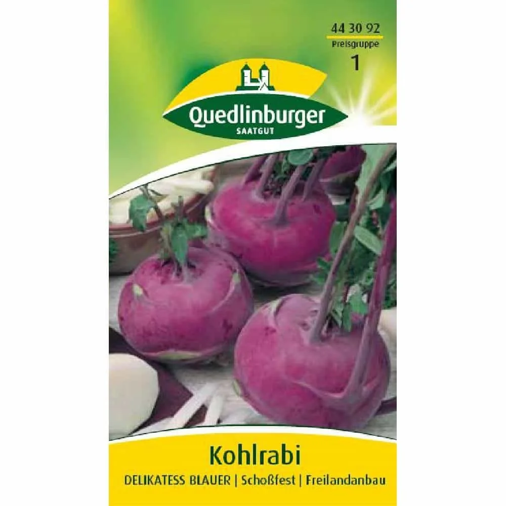 Blue Delicatess Kohlrabi Seeds - Grow Your Own Aromatic Turnip