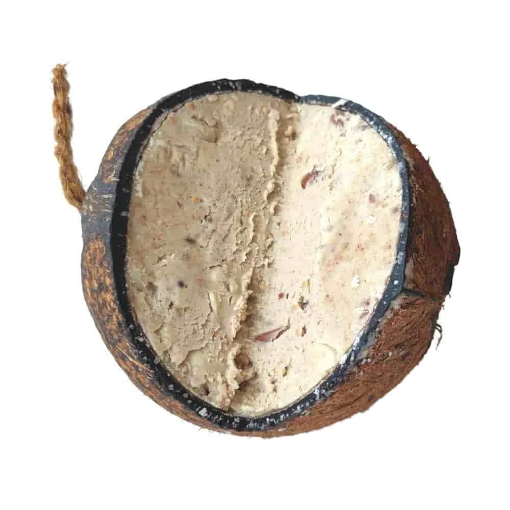 Coconut Bird Feeder with Wild Bird Seed, Year-Round Feeding