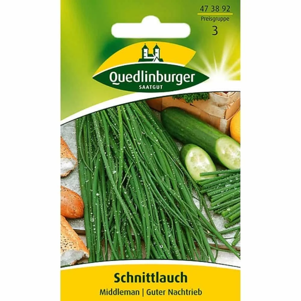 Buy Chives: Perennial, Easy-Care & Aromatic Herb