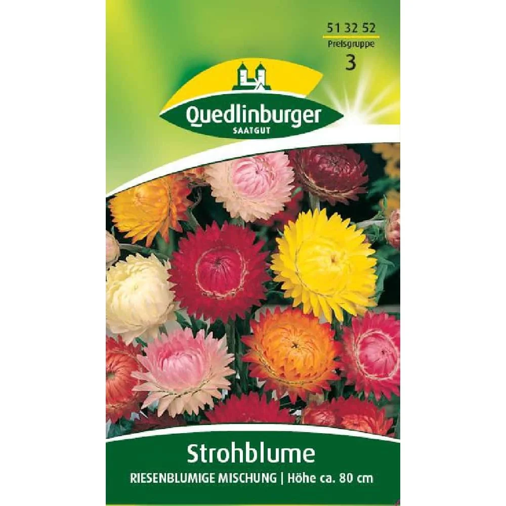 "Strawflower Seeds, Giant Mix, Dried Flower Garden image"