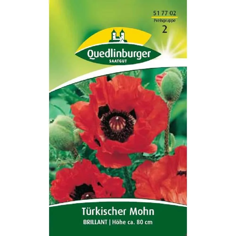 "Buy Oriental Poppy - Perennial Red Poppy Plants for Sale image"