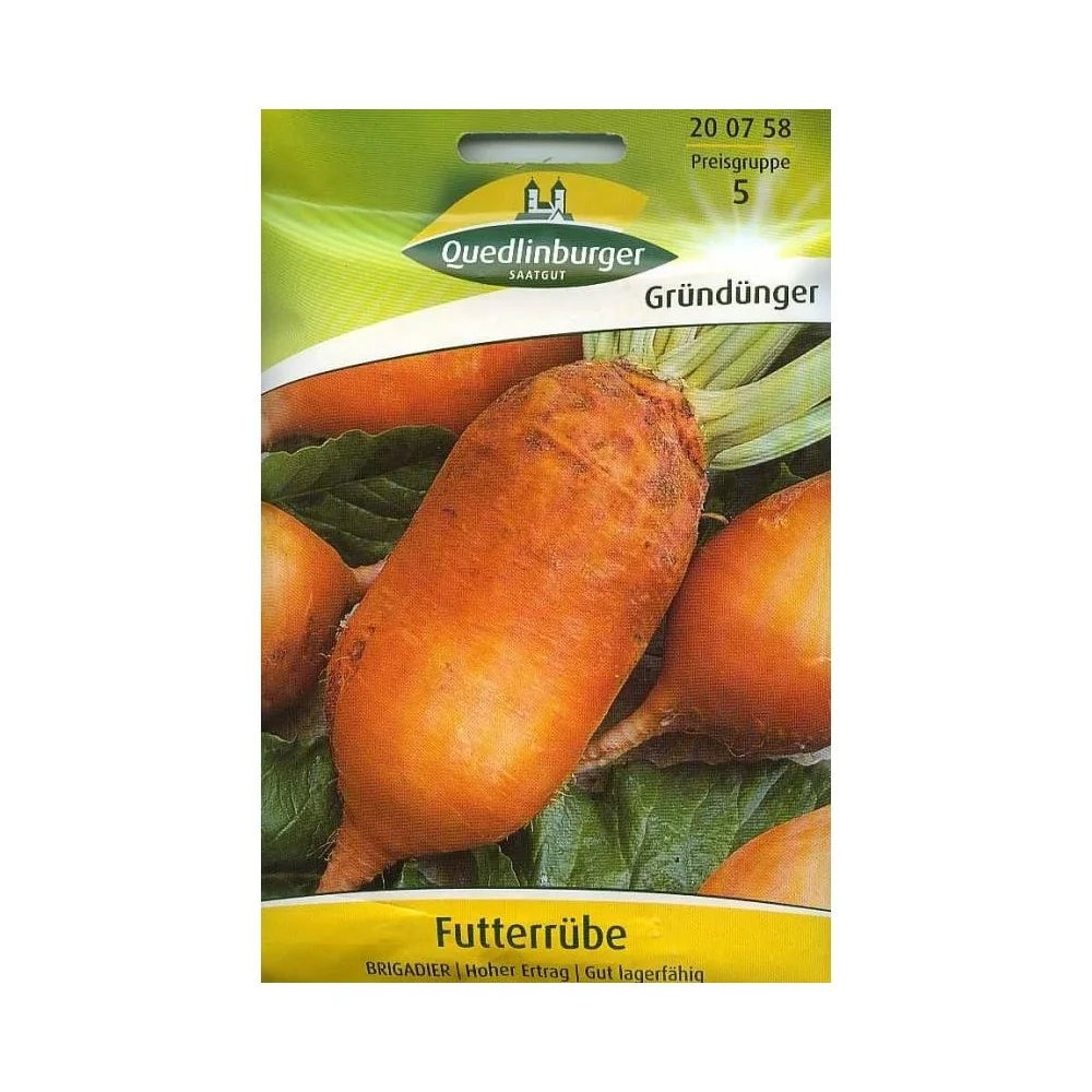 "Brigadier Fodder Beet Seeds - 25g - Runkelrübe image"