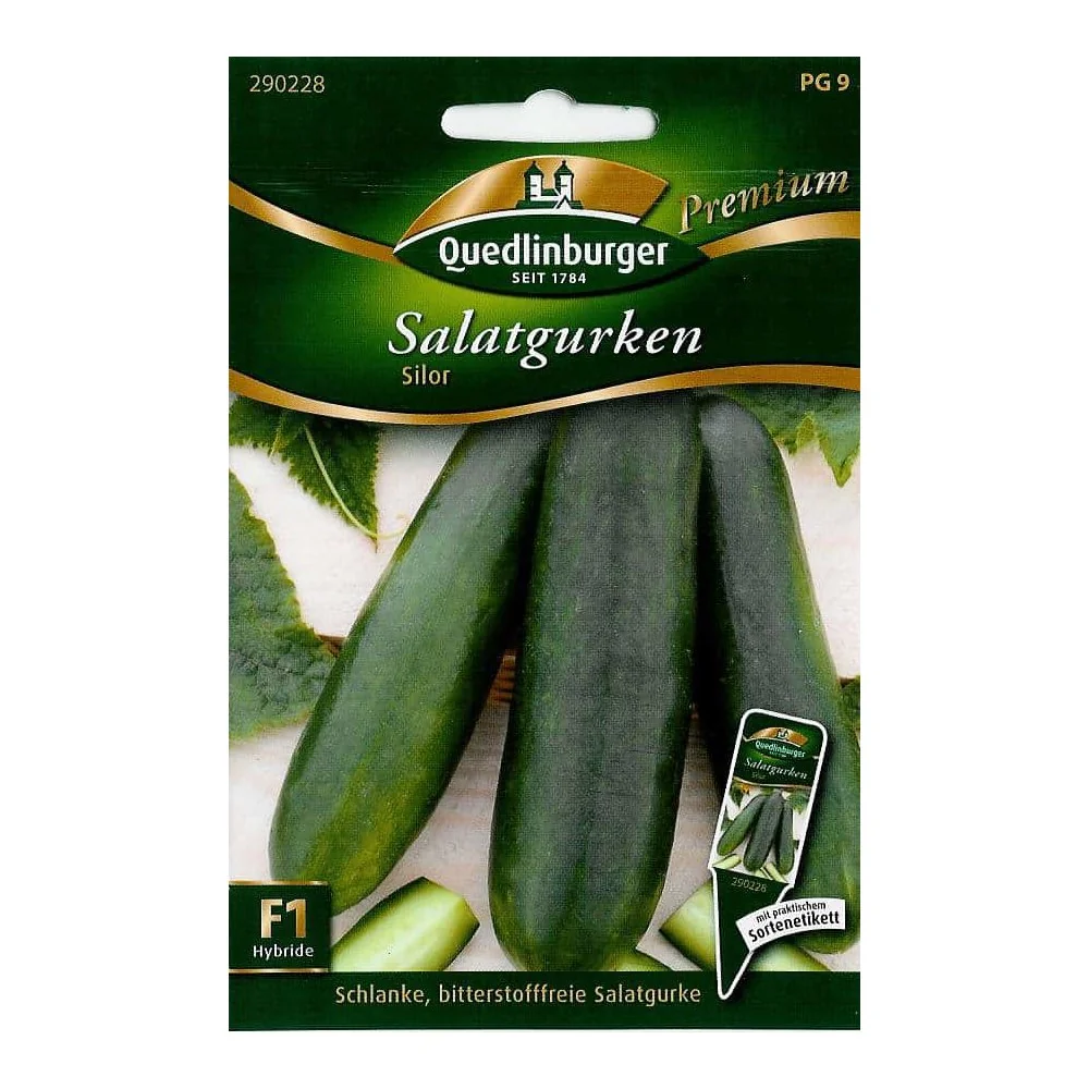 "Salad cucumbers, Silor image"