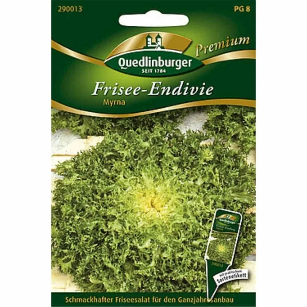 "Myrna Frisee Endive Seeds - Grow Crisp, Fresh Salad image"