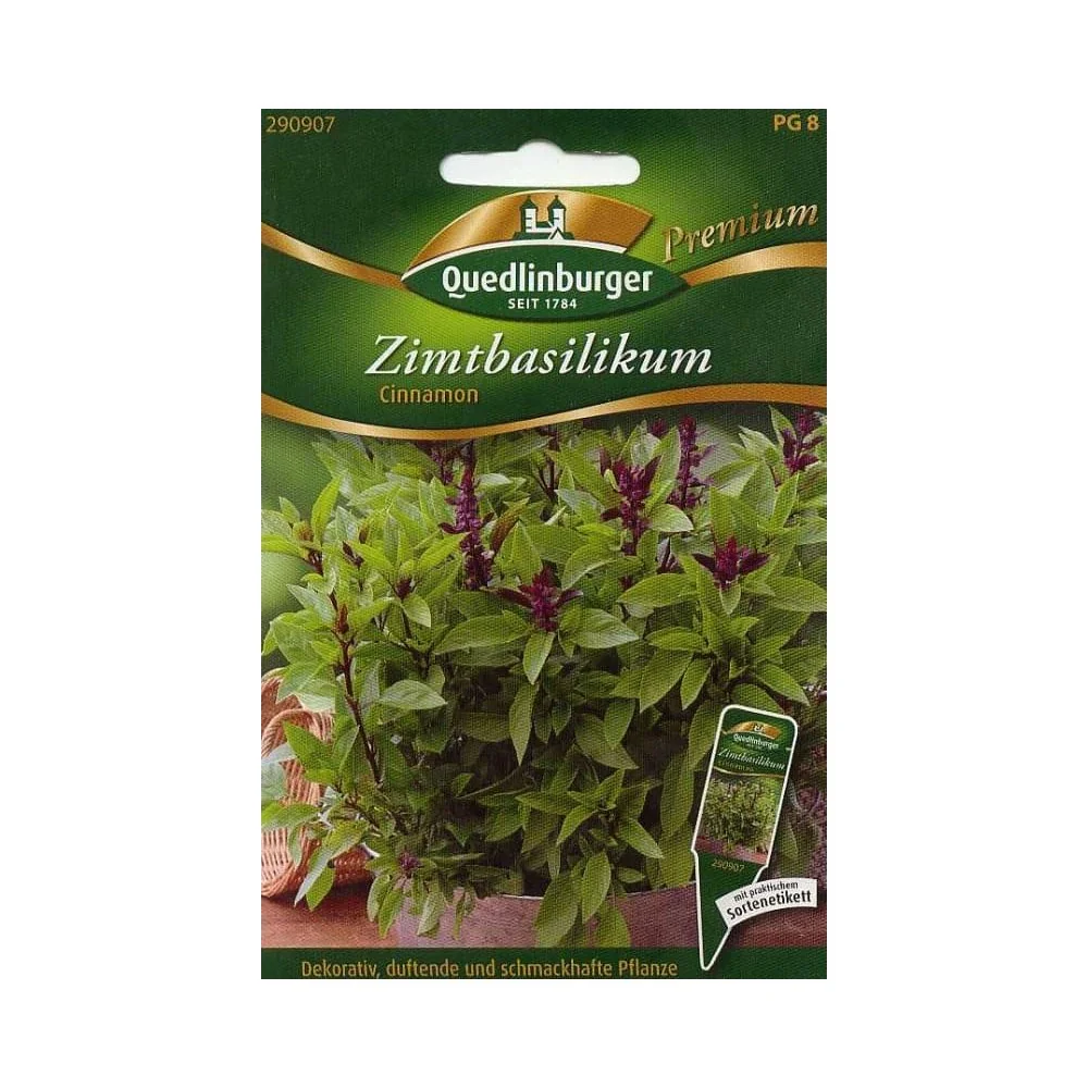 "Cinnamon Basil Plant - Aromatic Herb for Your Garden image"