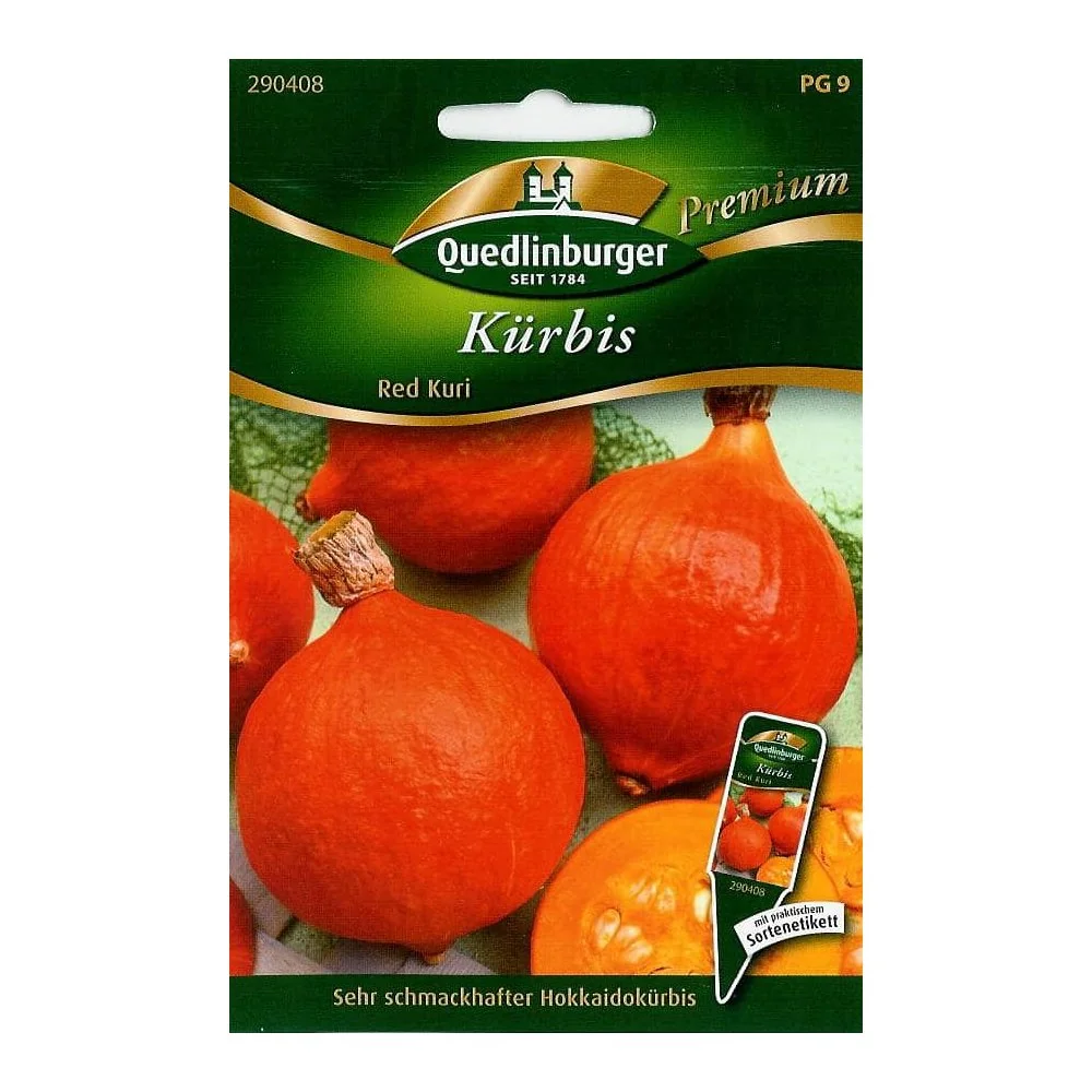 "Red Kuri Squash Seeds - Grow Your Own Hokkaido Pumpkin image"