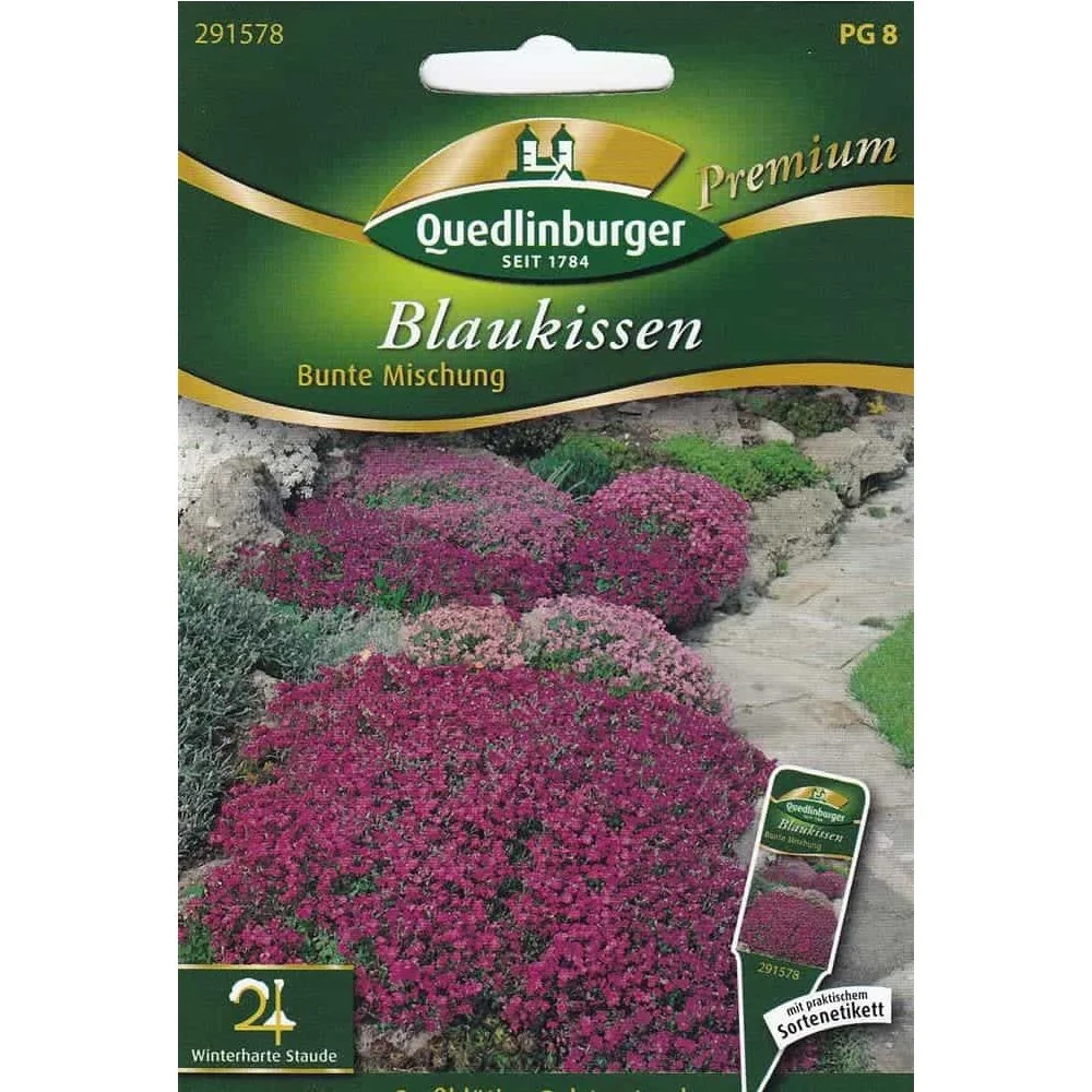 "Colorful Rock Cress Ground Cover, Perennial Flowers image"