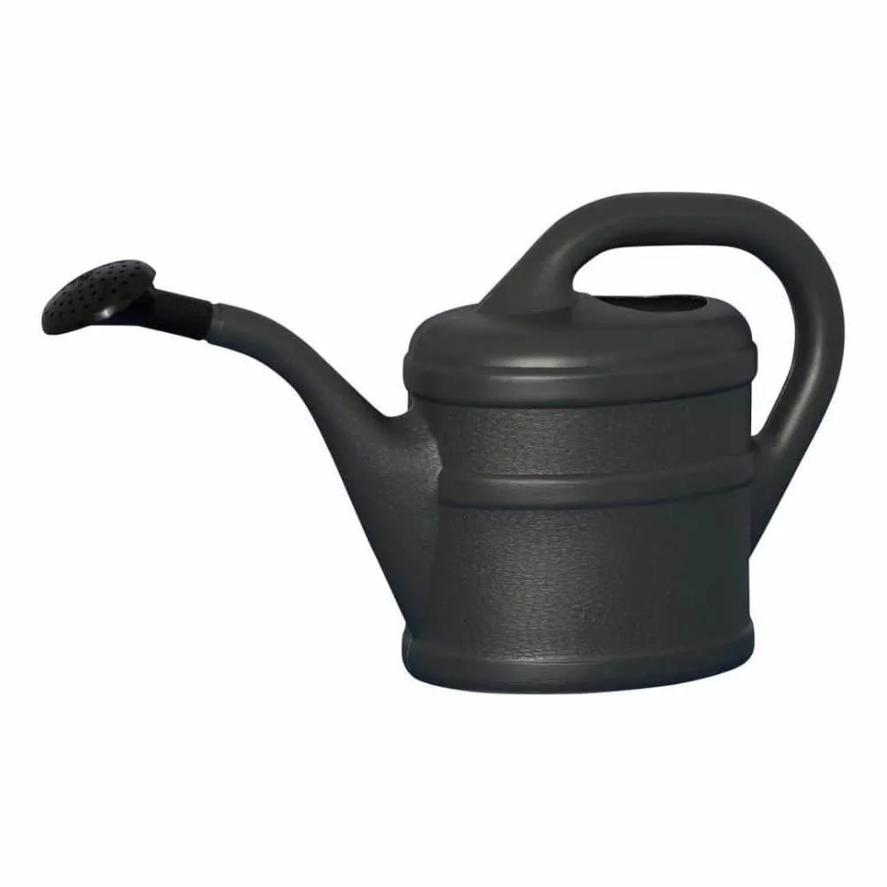"2 Liter Watering Can, Anthracite, Plastic, Garden Watering Can image"