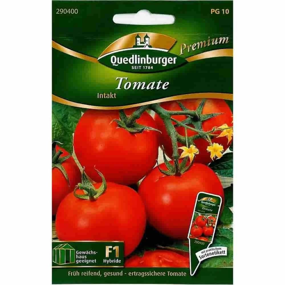 Intact F1 Tomato Plant: Disease-Resistant & High-Yielding
