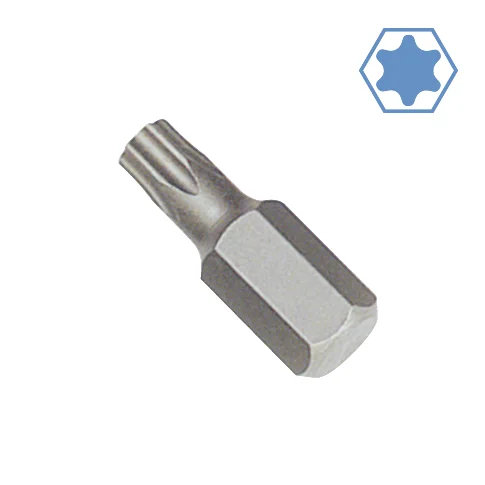 "hex Bit T55, 10mm Hex Drive, S2 Steel image"