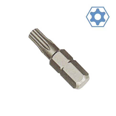 "TT40 hex Bit with Hole, 1/4 inch, 30mm image"