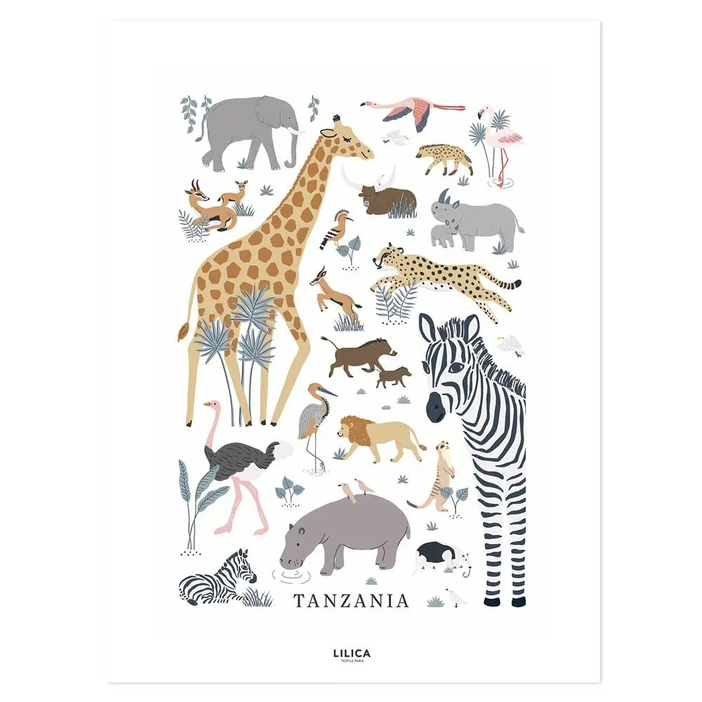 "Lilipinso poster savanna animals image"