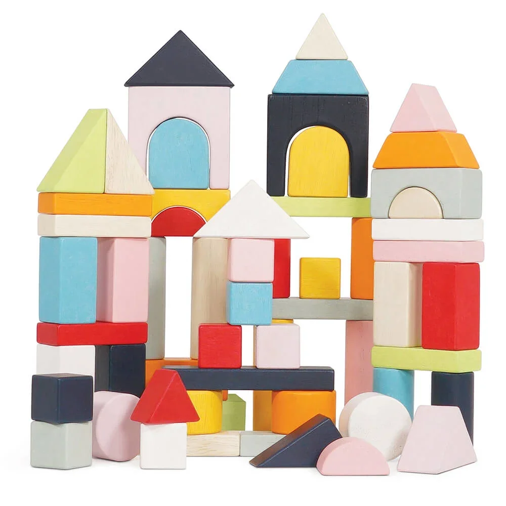 Le Toy van 60 Building Blocks Wood Pastel Colorful