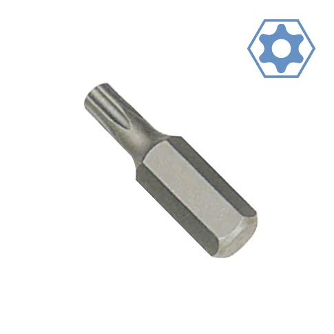 "Security hex Bit TT30 with Bore image"