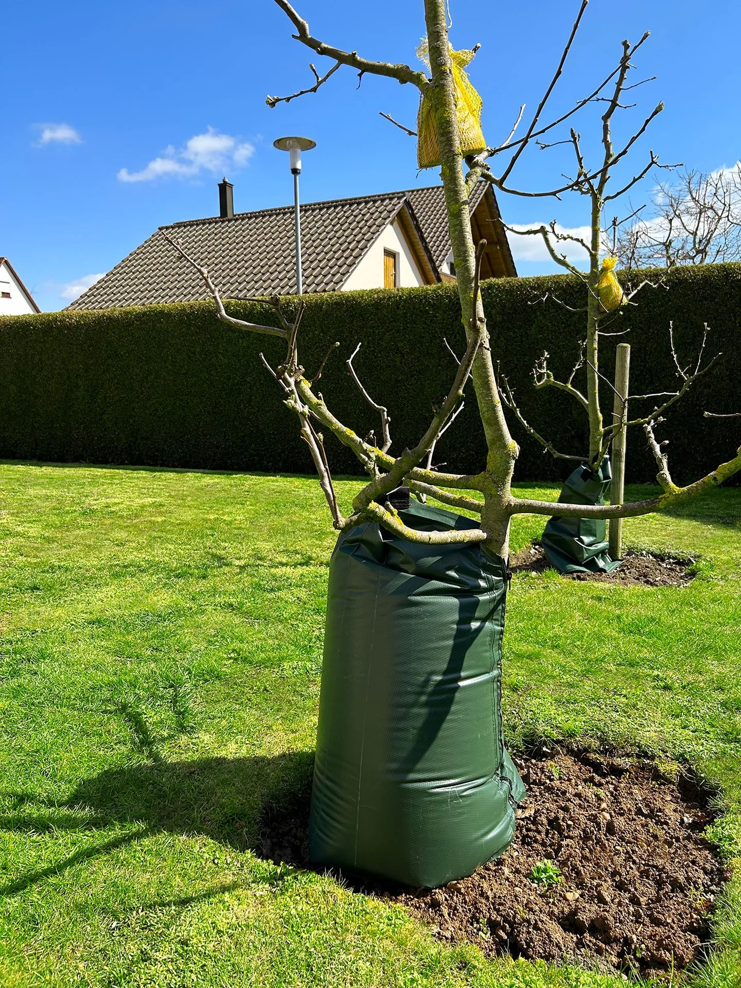 77 Liter Tree Watering Bag - Slow Release Irrigation System