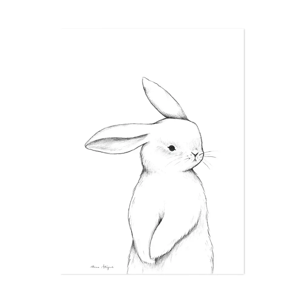 "Lilipinso poster bunnies from the front image"