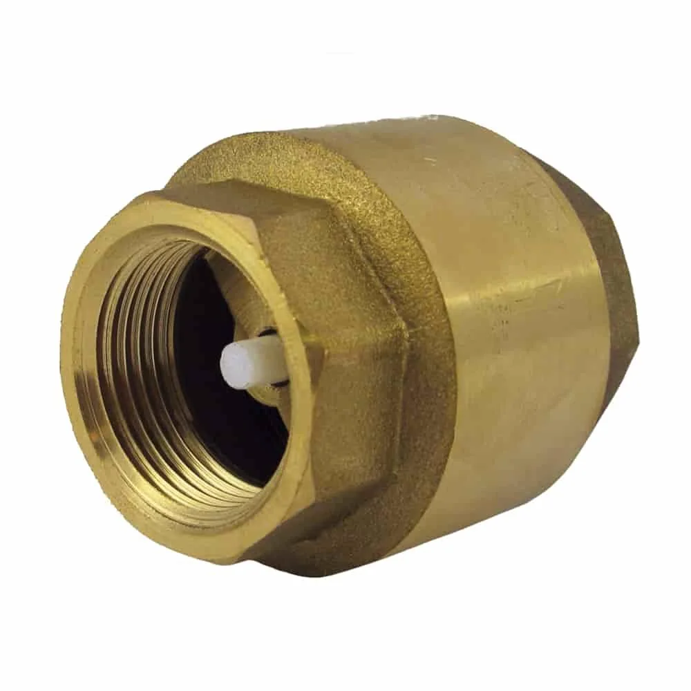 "1 Inch Brass Spring Check Valve, Inline Non Return Valve image"