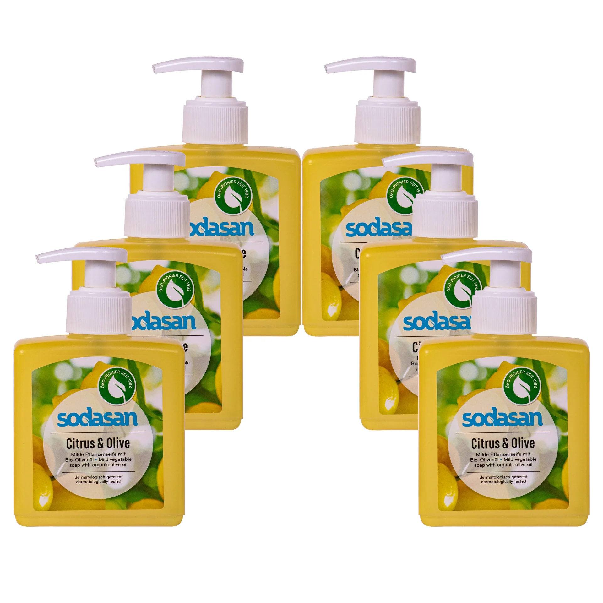 "Liquid Hand Soap, Citrus Olive, 6 x 300 ml, Plant Based Soap image"