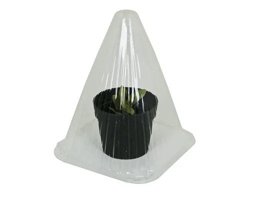 "Plant cloches for seedling propagation, 10 pieces image"