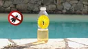 Wasp trap for bottles, set of 6