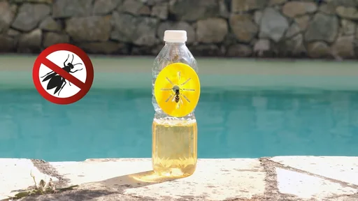 "Wasp trap for bottles, set of 6 image"
