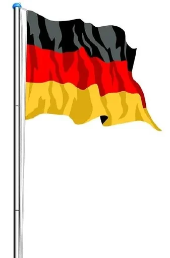 "Replacement flag image"